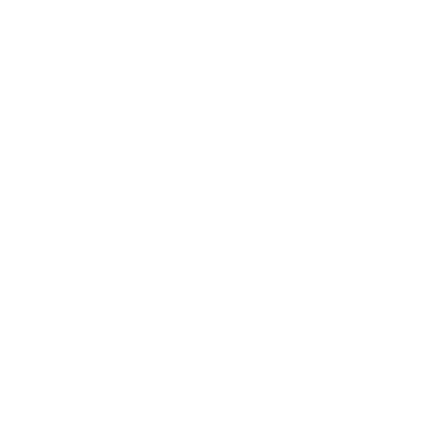 Pacific Village